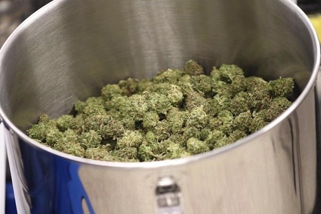 Canadian company working on topical cream containing medical marijuana | iNFOnews.ca