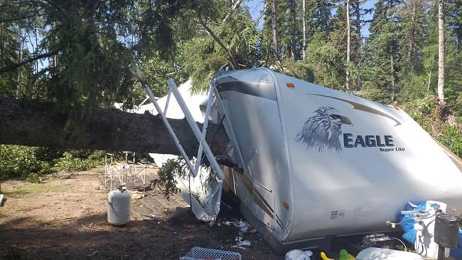'Hundreds' of trees knocked down at Saskatchewan campground during storm | iNFOnews.ca 'Hundreds' of trees knocked down at Saskatchewan campground during storm | iNFOnews.ca