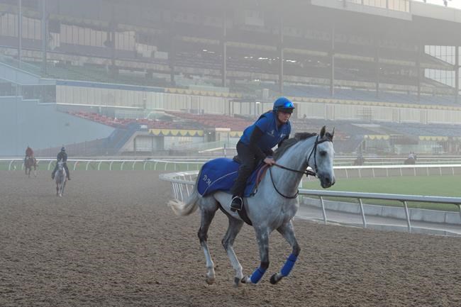 Thundering Blue early favourite at Pattison Canadian International | iNFOnews.ca