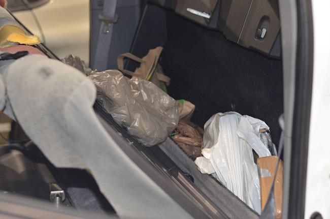 Toronto cops tout 'largest single seizure' of powder cocaine in city's history | iNFOnews.ca