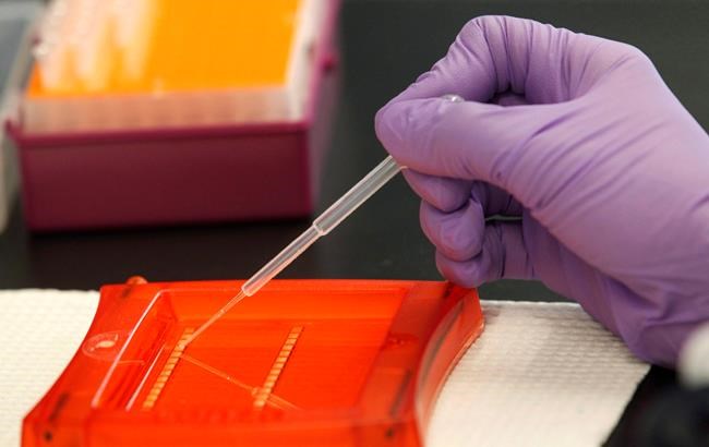Life insurers' new genetic test policy called an 11th-hour stalling attempt | iNFOnews.ca