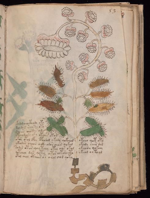 Computer scientist claims clues to deciphering mysterious Voynich manuscript | iNFOnews.ca