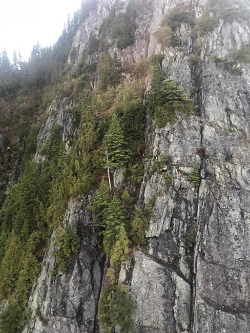 British hiker was 'stuck and scared' on Vancouver-area mountain | iNFOnews.ca British hiker was 'stuck and scared' on Vancouver-area mountain | iNFOnews.ca