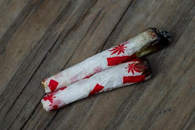 Cannabis legalization: Drug-impaired charges could lead to court backlog | iNFOnews.ca