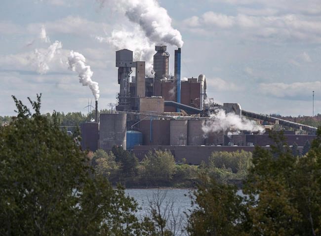 N.S. group seeks data on effluent leak from Northern Pulp pipeline | iNFOnews.ca