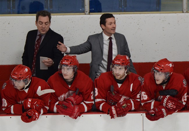 Longtime Leaf thriving as first-year head coach at York University | iNFOnews.ca CP36403429