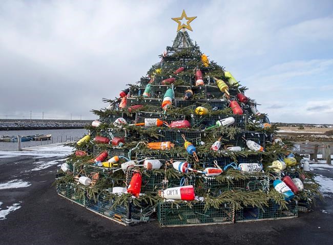 A new East Coast tradition: Towering Christmas trees made of lobster traps | iNFOnews.ca
