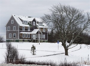 CP29047436