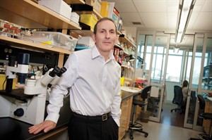 Researchers probe link between bariatric surgery and higher colon cancer risk | iNFOnews.ca CP32133451