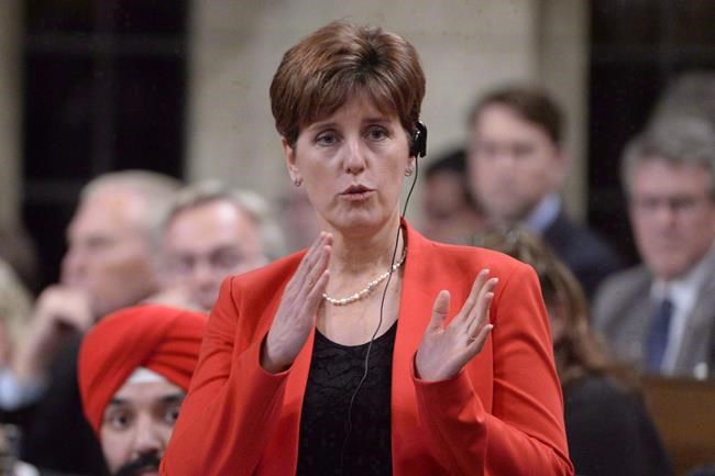 Mining projects getting close look in foreign aid review, says Bibeau | iNFOnews.ca