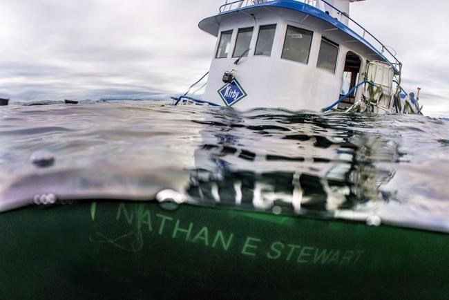 Efforts begin to reposition, raise sunken tug near Bella Bella, B.C., | iNFOnews.ca