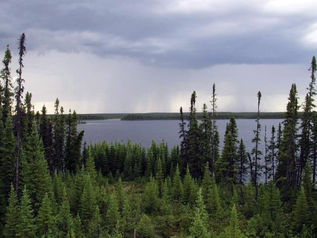 Dryness cancels climate-change warmth that would help boreal forest growth:study | iNFOnews.ca Dryness cancels climate-change warmth that would help boreal forest growth:study | iNFOnews.ca