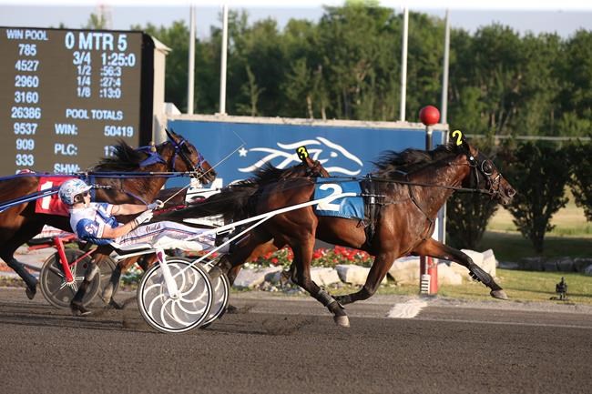 Healthy Marion Marauder returns to secure Maple Leaf Trot final berth | iNFOnews.ca