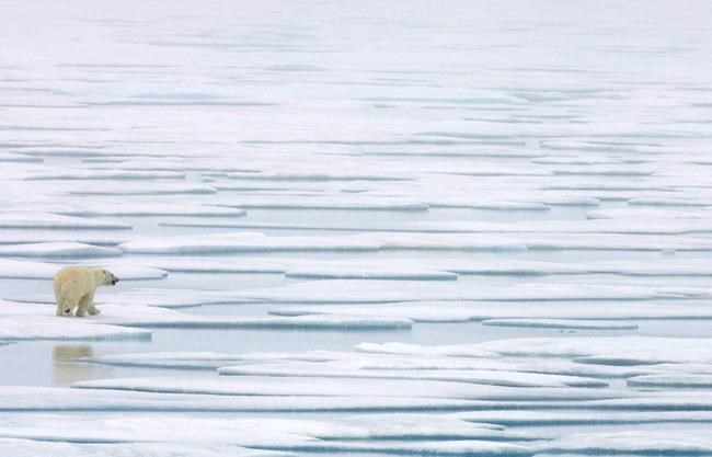 Report says mercury, PCBs still threaten Arctic; new chemicals emerging | iNFOnews.ca Report says mercury, PCBs still threaten Arctic; new chemicals emerging | iNFOnews.ca