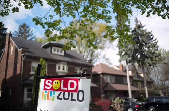 Mongohouse sues Canada's largest real estate board, claims it has lost $50K | iNFOnews.ca
