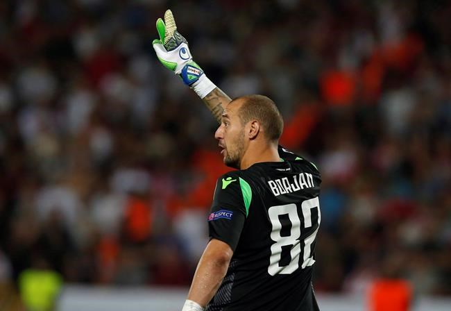 Canadian goalkeeper Milan Borjan making his name in Europe with Red Star Belgrade | iNFOnews.ca