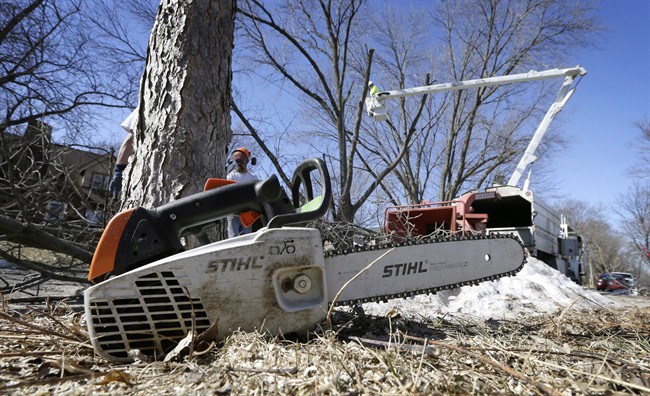 Corrections Canada seeks company to run chainsaw sessions for inmates | iNFOnews.ca CP33751145