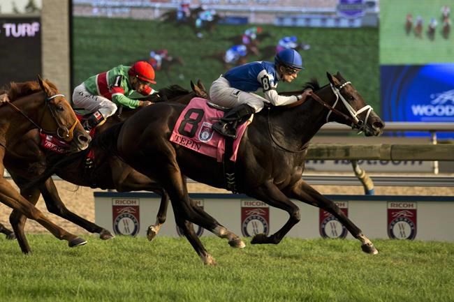 Tepin will look to secure trainer Casse second straight Cup Mile crown | iNFOnews.ca CP1083618041