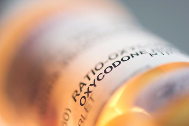 Overall opioid volume down in Ont., but many still exceed recommended dose: report | iNFOnews.ca
