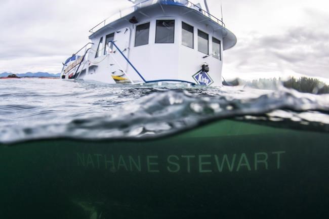 Sleeping crew member likely cause of tug crash off B.C. coast: U.S. report | iNFOnews.ca Sleeping crew member likely cause of tug crash off B.C. coast: U.S. report | iNFOnews.ca