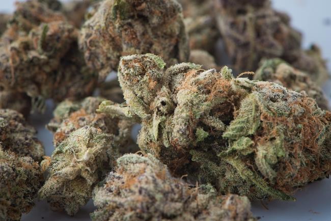 Ontario landlords call for right to immediately ban pot in rentals despite tenant laws | iNFOnews.ca Ontario landlords call for right to immediately ban pot in rentals despite tenant laws | iNFOnews.ca