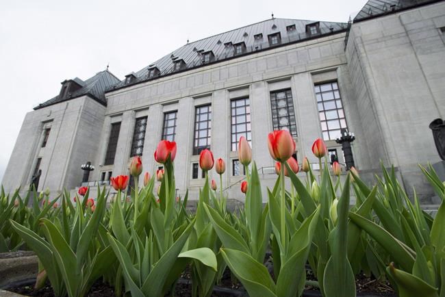 High court to settle dispute over missing professor's pension payments | iNFOnews.ca High court to settle dispute over missing professor's pension payments | iNFOnews.ca