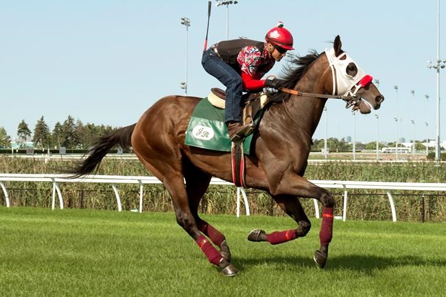 Aheadbyacentury looking for Triple Crown breakthrough in the Breeders' Stakes | iNFOnews.ca CP454387817