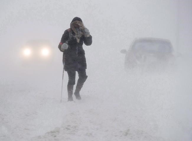 Number of snow days in Nova Scotia schools amounts to a crisis: expert | iNFOnews.ca