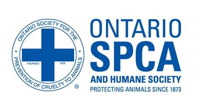 OSPCA wants out of horses and livestock cruelty probes, blames funding shortage | iNFOnews.ca OSPCA wants out of horses and livestock cruelty probes, blames funding shortage | iNFOnews.ca