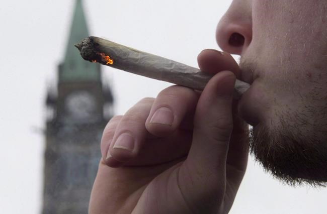 Ottawa's pot plan sparks enforcement concern at provincial level | iNFOnews.ca Ottawa's pot plan sparks enforcement concern at provincial level | iNFOnews.ca