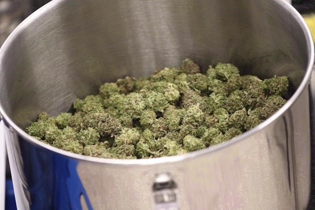 Ontario government backtracks on municipalities' right to say no to pot stores | iNFOnews.ca CP2132537753