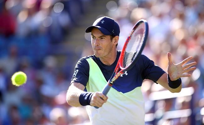 Former world No. 1 Andy Murray gets wild card for Rogers Cup in Toronto | iNFOnews.ca Former world No. 1 Andy Murray gets wild card for Rogers Cup in Toronto | iNFOnews.ca