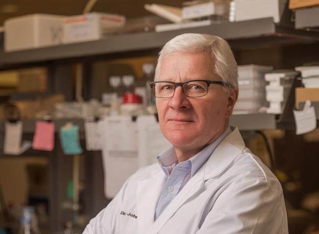 Genetic screening tool can predict risk of leukemia, say researchers | iNFOnews.ca CP589430178