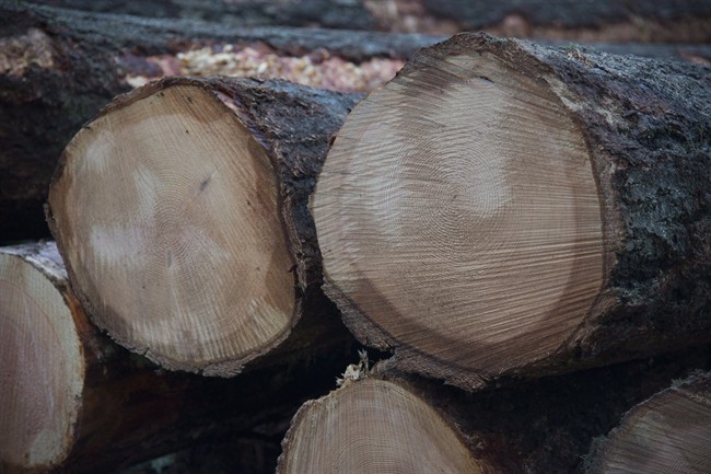 Blame game already on as Canada-U.S. softwood deal expires; no talks on horizon | iNFOnews.ca CP34933515