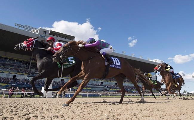 Maker looking to continue Woodbine success with Da Big Hoss in International | iNFOnews.ca