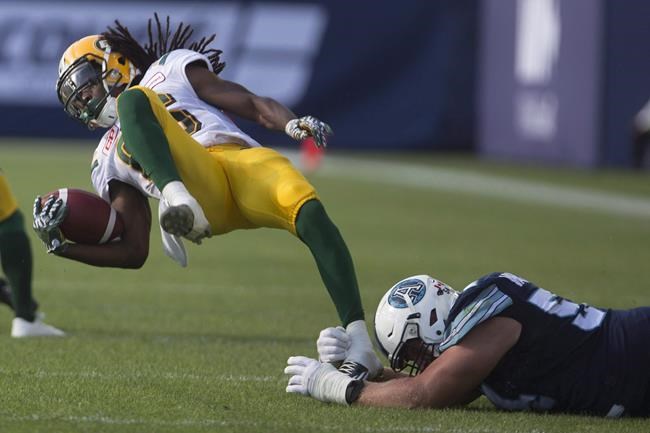 Assistant GM Zimmerman makes splash with signing of veteran Van Zeyl | iNFOnews.ca