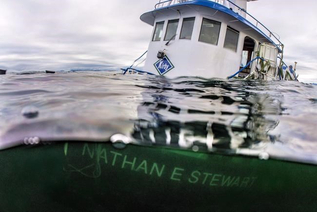 Heiltsuk First Nation says oil spill underlines lack of federal commitment | iNFOnews.ca Heiltsuk First Nation says oil spill underlines lack of federal commitment | iNFOnews.ca