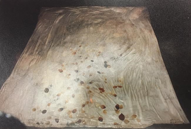 Trial told suspect in teen's death had similar duvet cover as one she found in | iNFOnews.ca