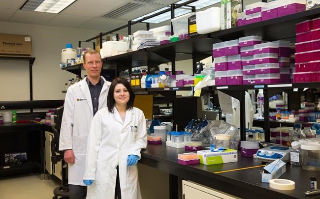 Calgary researchers say new tool will make testing for infections easier | iNFOnews.ca