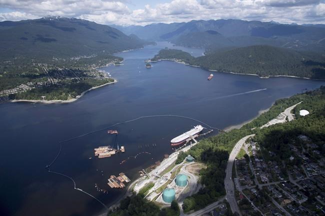 National Energy Board orders halt to all work activity on Trans Mountain pipeline | iNFOnews.ca
