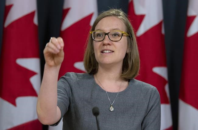 NATO researchers consult federal government on foreign election meddling | iNFOnews.ca NATO researchers consult federal government on foreign election meddling | iNFOnews.ca