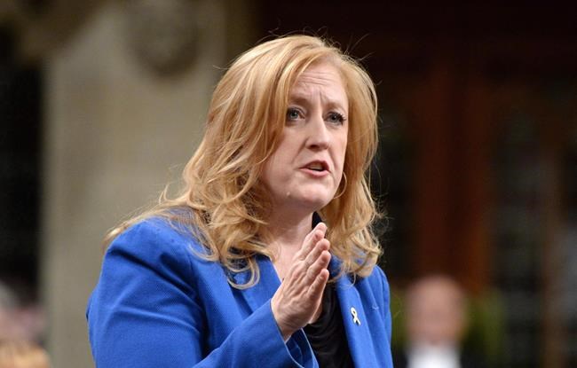 Lisa Raitt joins Tory leadership race, brings field to 10 candidates | iNFOnews.ca