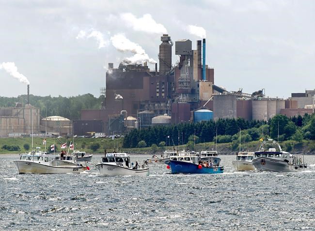 Ottawa commits $100 million toward cleaning up toxic mess at Boat Harbour | iNFOnews.ca CP360884184