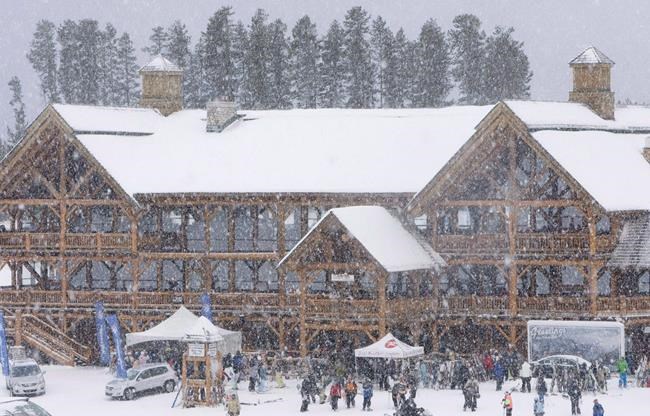Alberta ski resort faces trial next month; charged with cutting endangered trees | iNFOnews.ca
