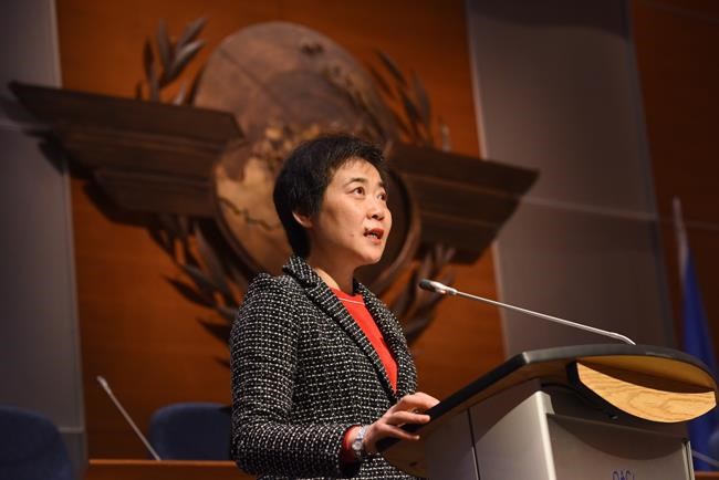 Aviation sector needs to do better job attracting workers, says ICAO boss | iNFOnews.ca