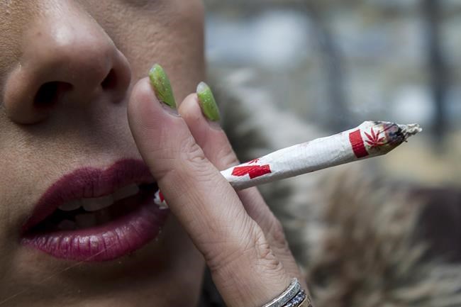 Survey suggests Canadians more uncertain about cannabis in wake of legalization | iNFOnews.ca Survey suggests Canadians more uncertain about cannabis in wake of legalization | iNFOnews.ca