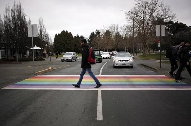 Newfoundland town stands by contentious vote against rainbow crosswalk | iNFOnews.ca