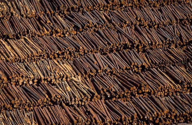 Interfor cutting back B.C. Interior production as lumber prices plunge | iNFOnews.ca Interfor cutting back B.C. Interior production as lumber prices plunge | iNFOnews.ca