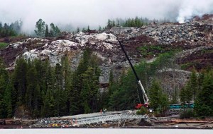 CP1142860882