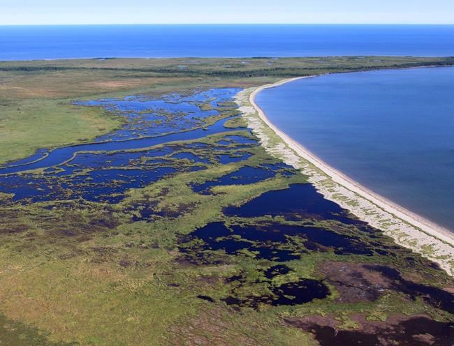 Federal budget looks ready to help protect more lands, inland waters, oceans | iNFOnews.ca